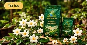Trà Ướp Nhài